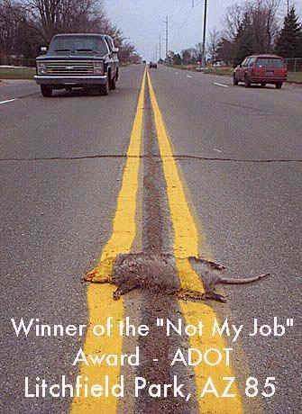 roadkill_1_.jpg (25860 bytes)